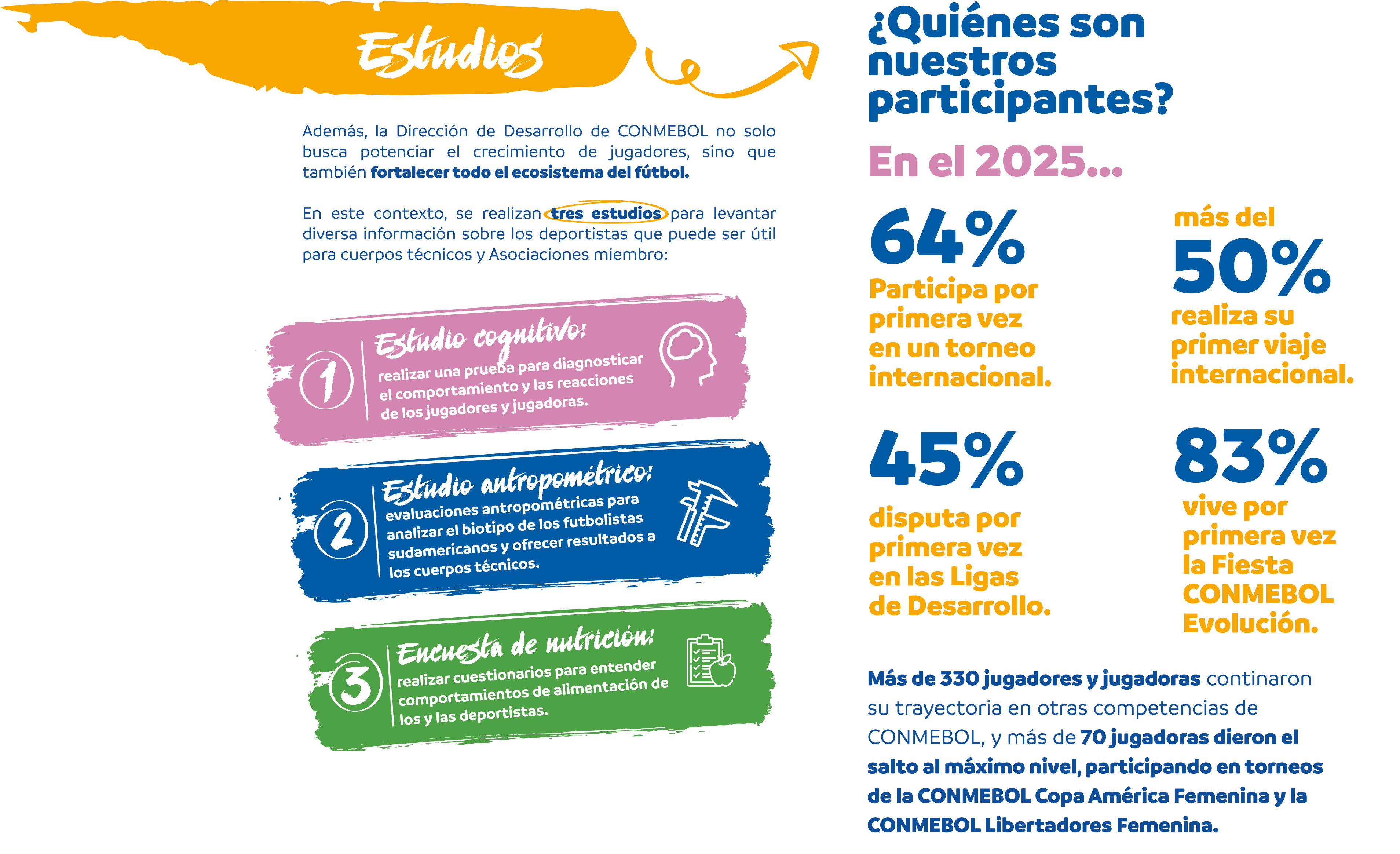 Estudios — Quiénes son nuestros participantes