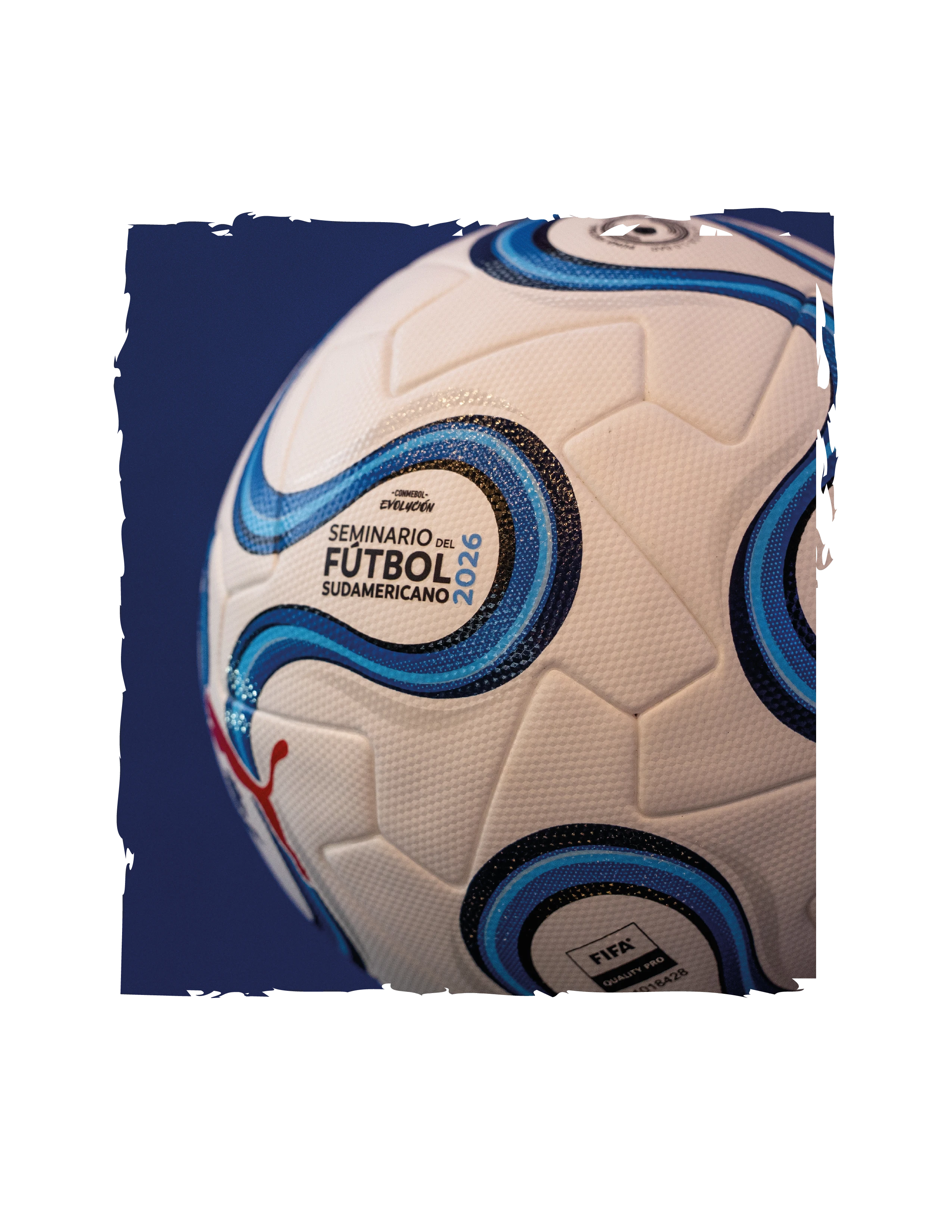 Pelota