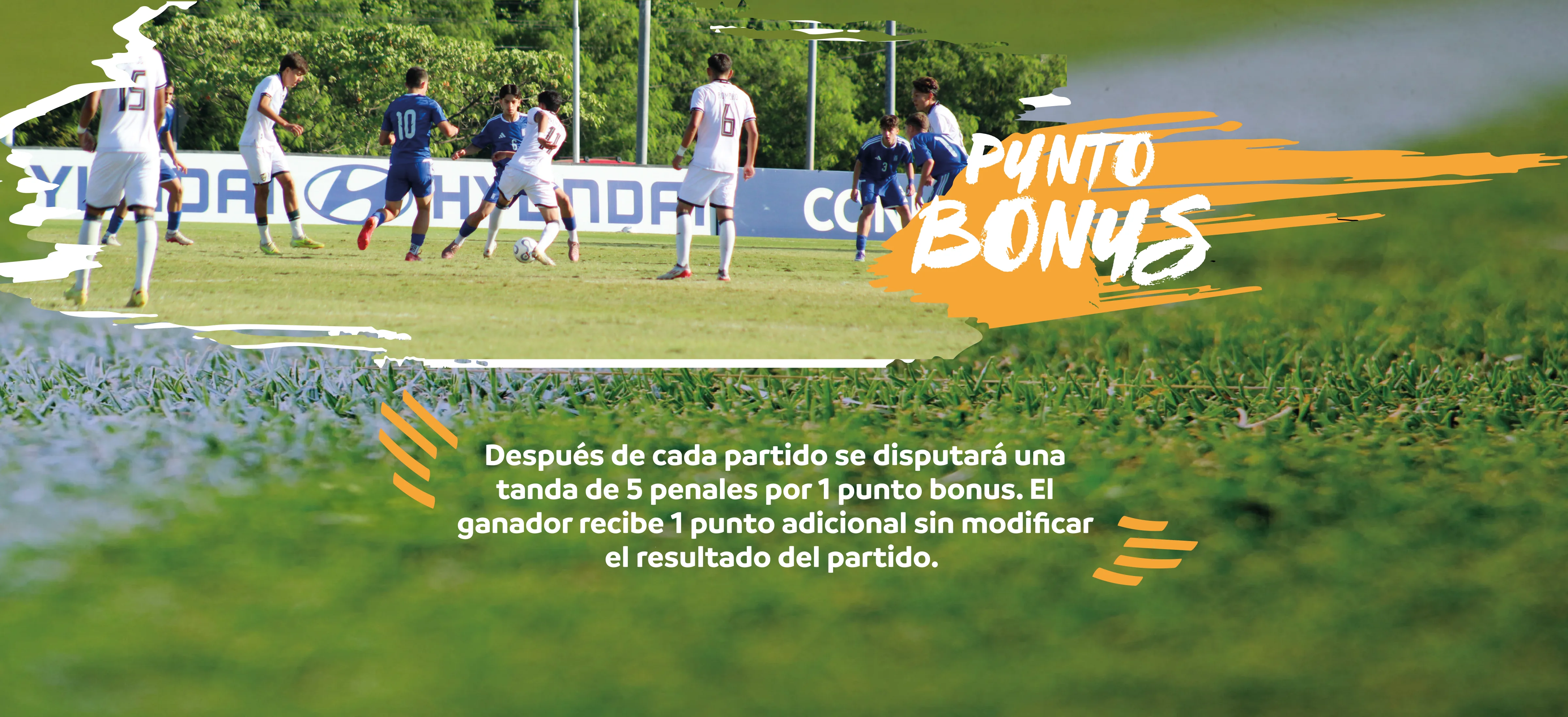 Punto bonus